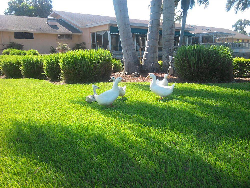 Hollywood Beach Golf Resort Exteriör bild